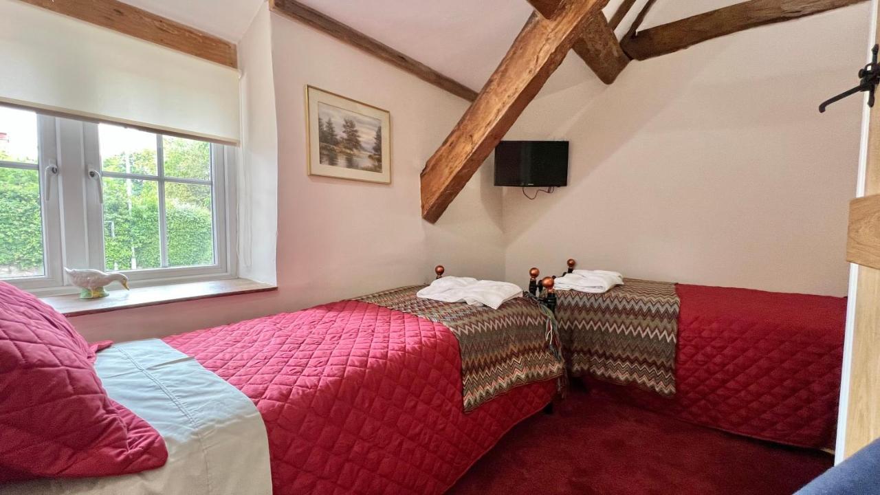 Cosy Cottage Ουέλινγκτον Εξωτερικό φωτογραφία